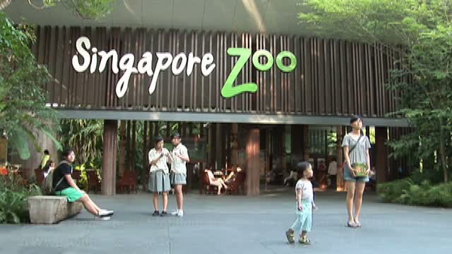 SIngapore Tours