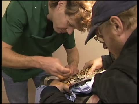 Snake Rescue: Wild Thing 5 Part 1 