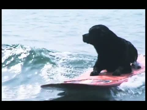 Bud on Board: Wild Thing 5 Part 4 