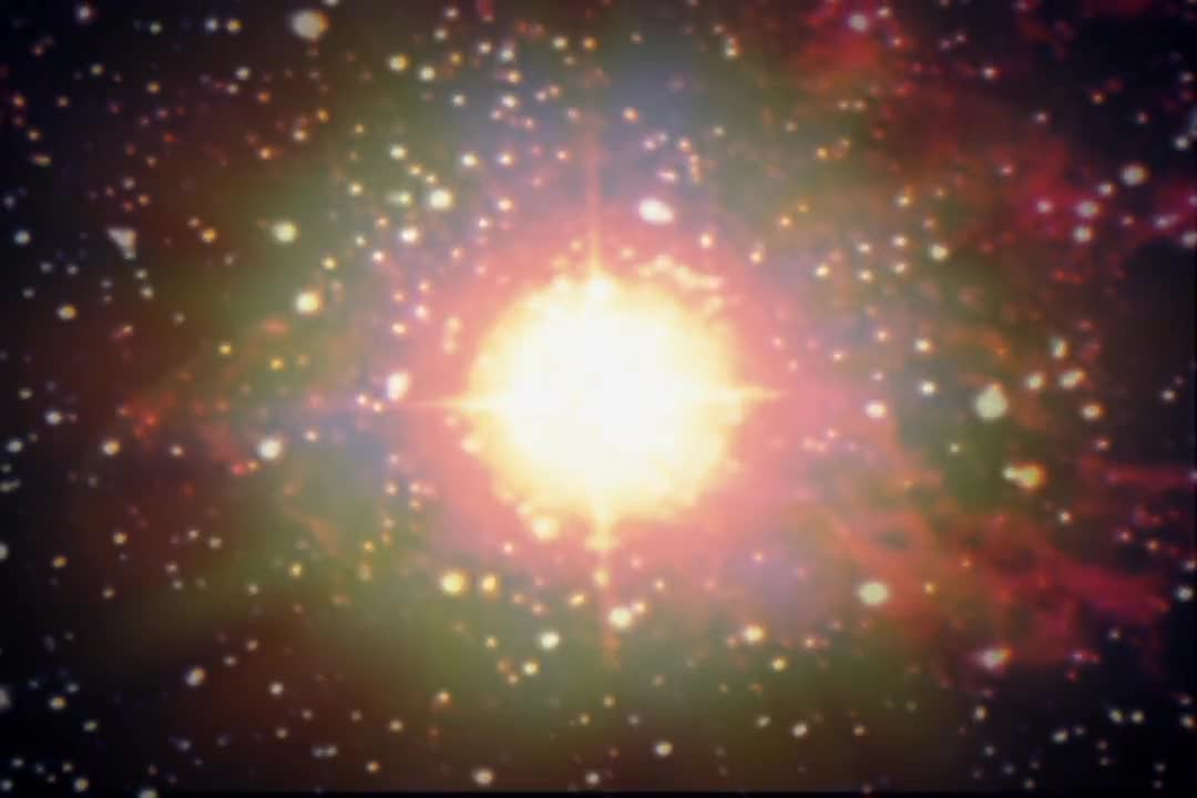 Massive Stars