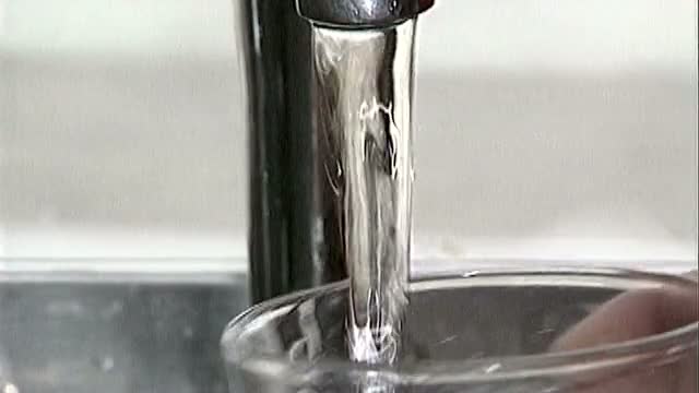 Bottle or Tap Water