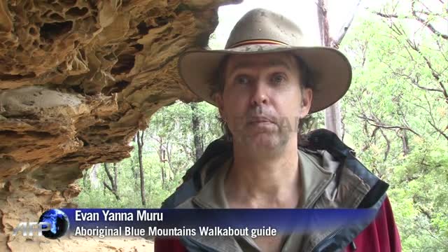 Green shoots in Australia's bush tucker boom
