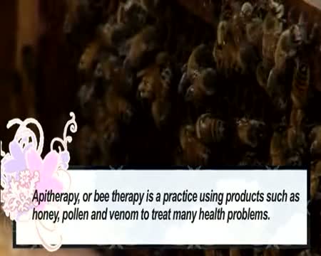 Bee Therapy 