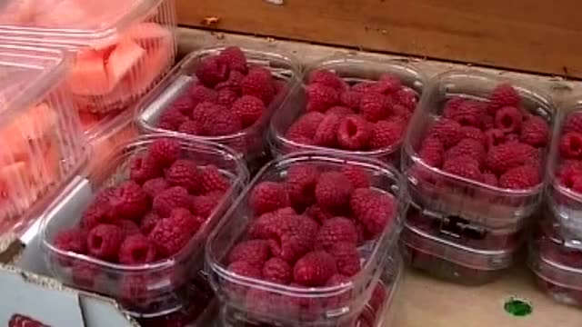 Brain Food Clean