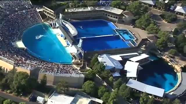 San Diego City Helicopter Tour 