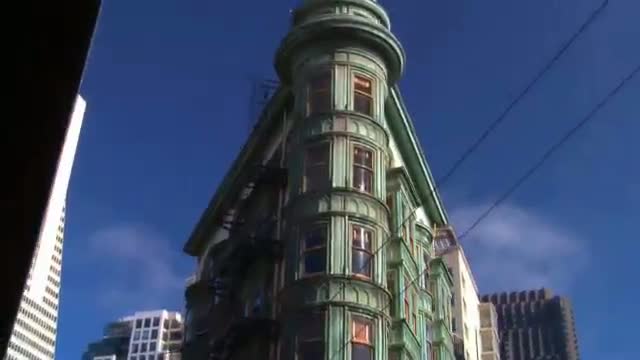 San Francisco Mr.Toad 