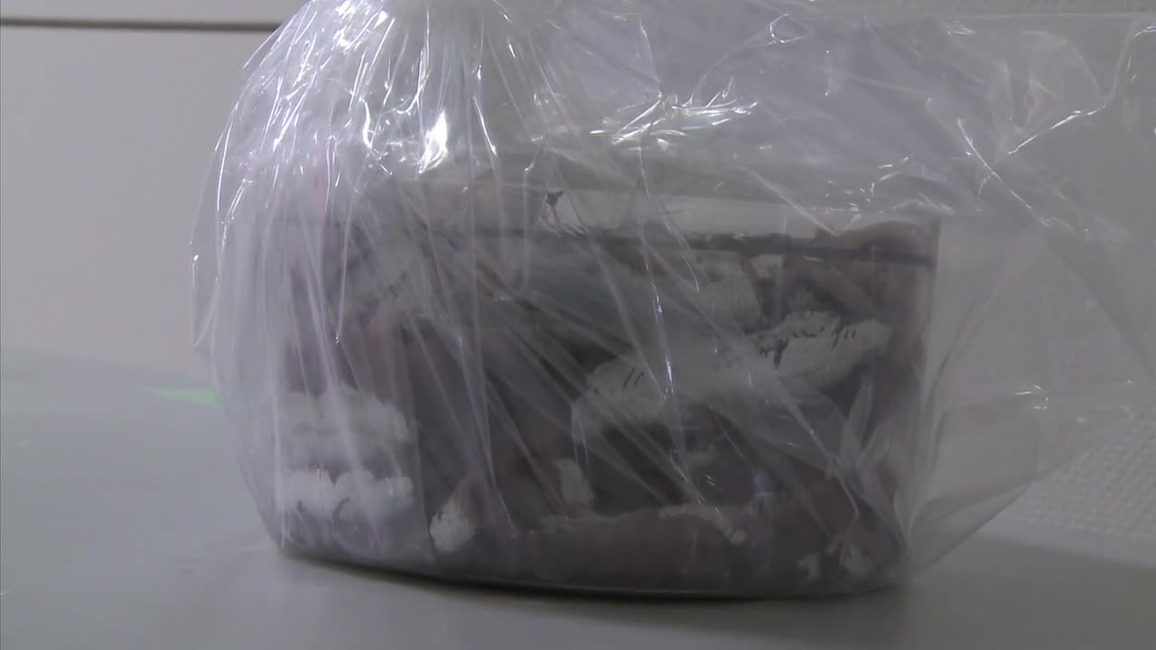 Food tested for radioactivity in Japan