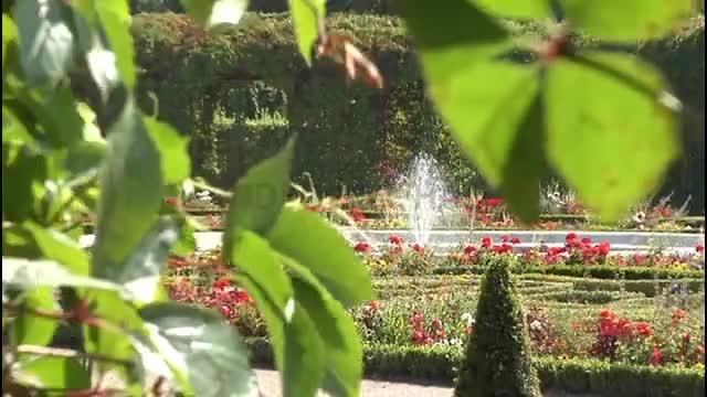 Vienna Attractions