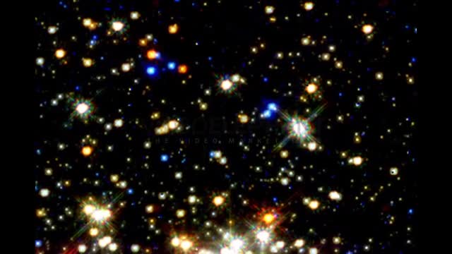 Low Mass Stars