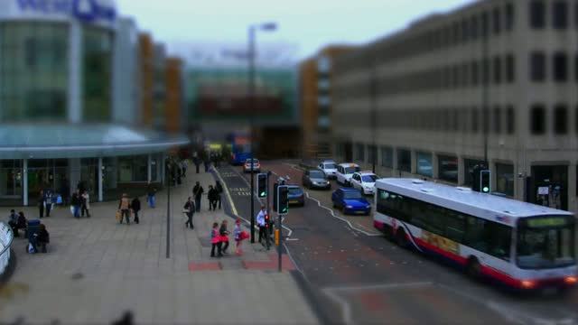 Small Life in Southampton, England
