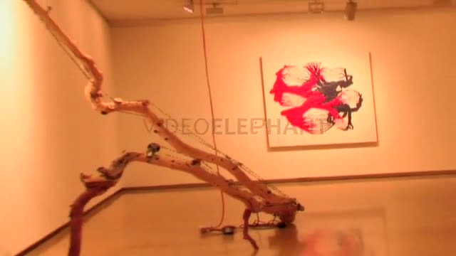 Sydney Museums