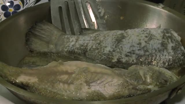 Fish: The latest addition to New York's urban farm