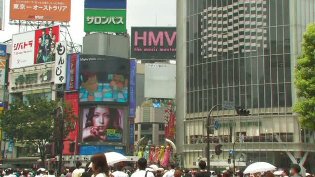 Tokyo Travel Guide 