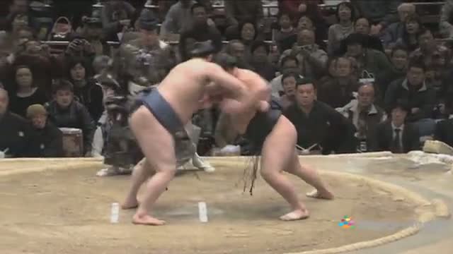 Sumo Central (HD)