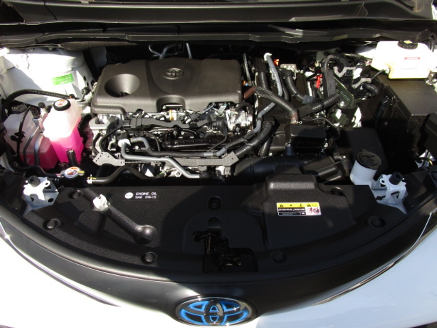 Used 2024 Toyota Sienna Hybrid LE - Vantage Mobility Commercial Rear Entry Entry Fold Out Manual Ramp