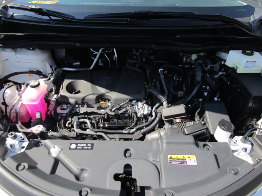 New 2025 Toyota Sienna Hybrid LE - BraunAbility Commercial Rear Entry Entry Fold Out Manual Ramp