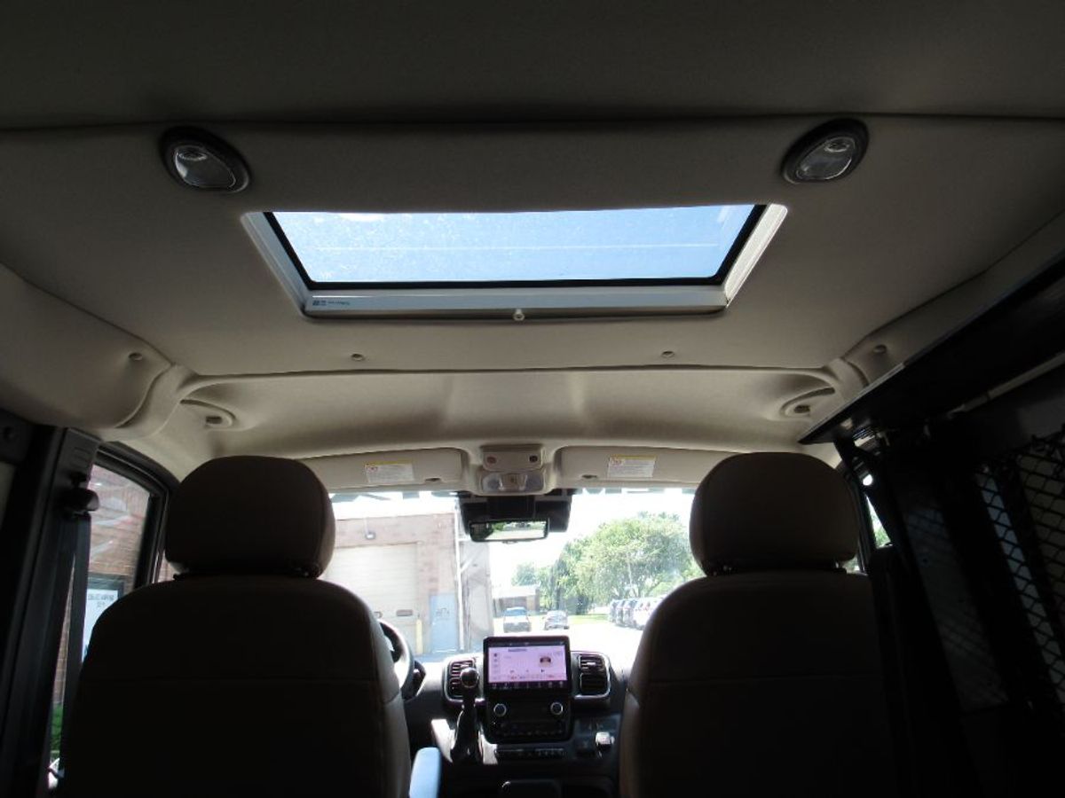 Grey Ram ProMaster image number 21