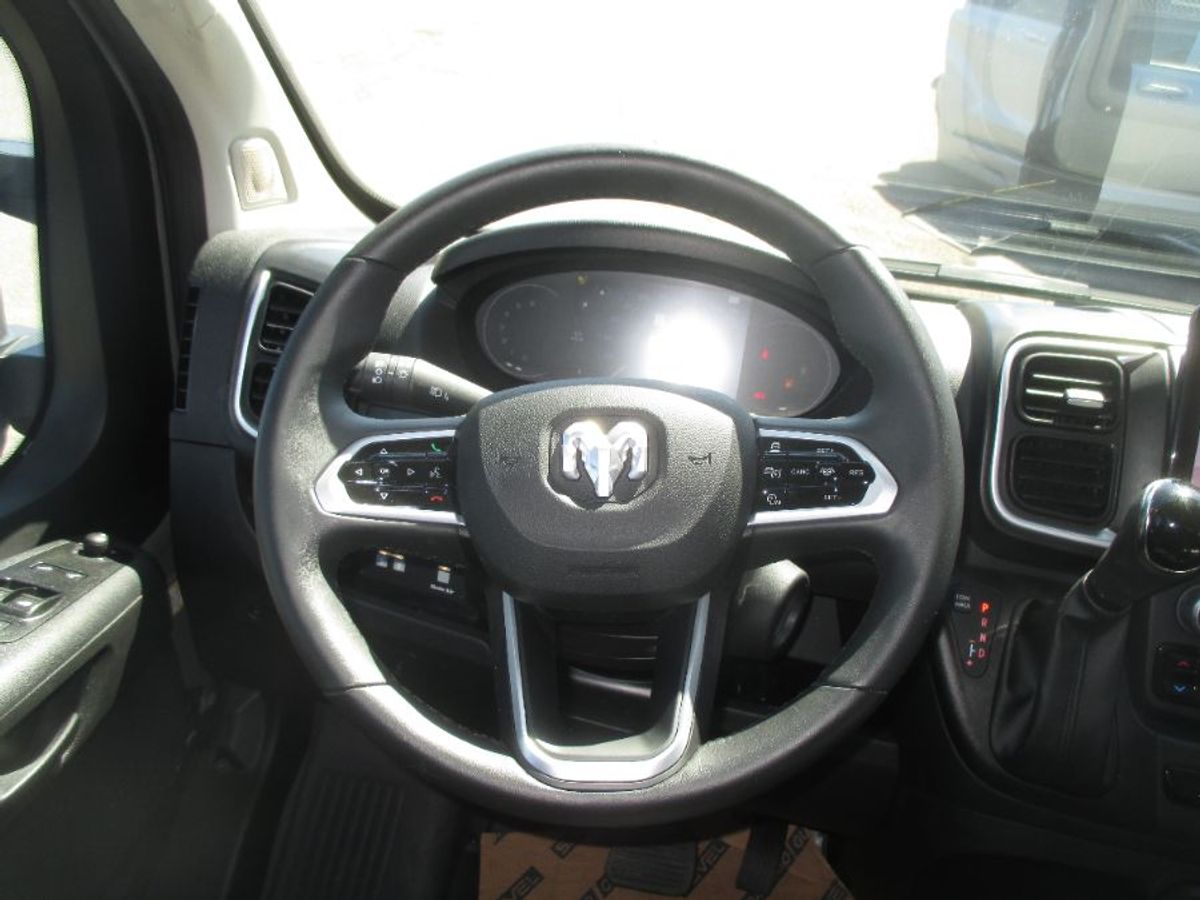 Grey Ram ProMaster image number 6