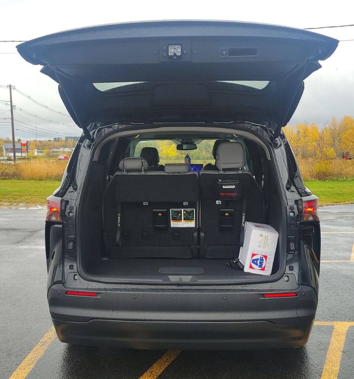 2025 TOYOTA SIENNA - Image 3