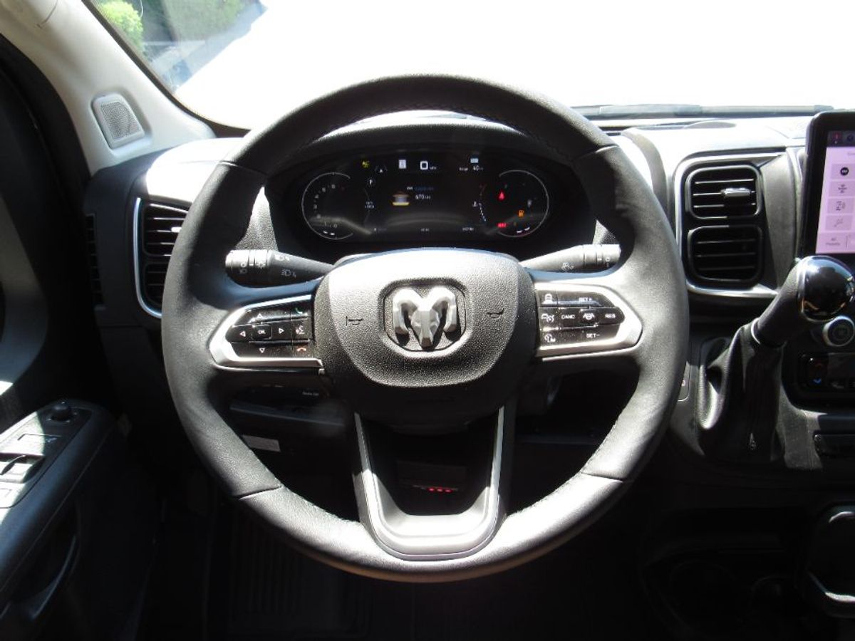 Grey Ram ProMaster image number 17