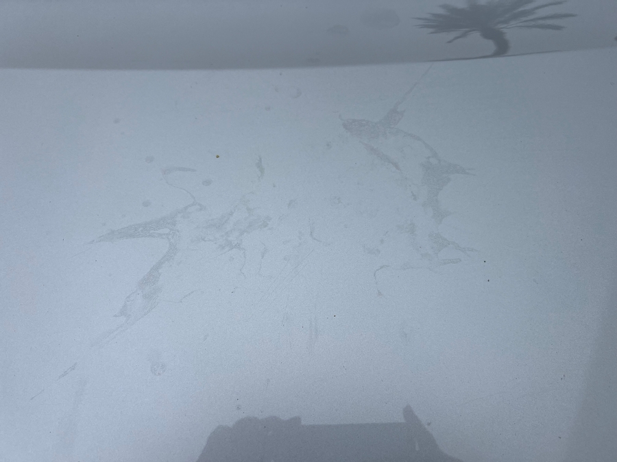 Used 2012 Toyota Sienna XLE - BraunAbility Side Entry Entry Fold Out Automatic Ramp