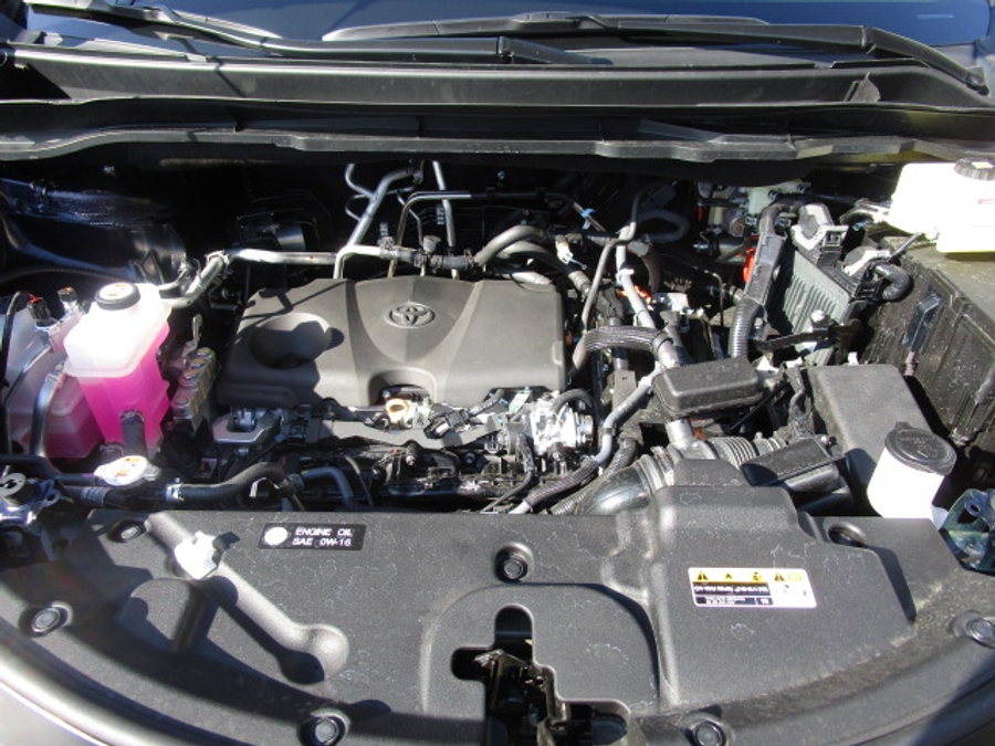 New 2025 Toyota Sienna Hybrid XLE Plus - BraunAbility Side Entry Entry In Floor Automatic Ramp