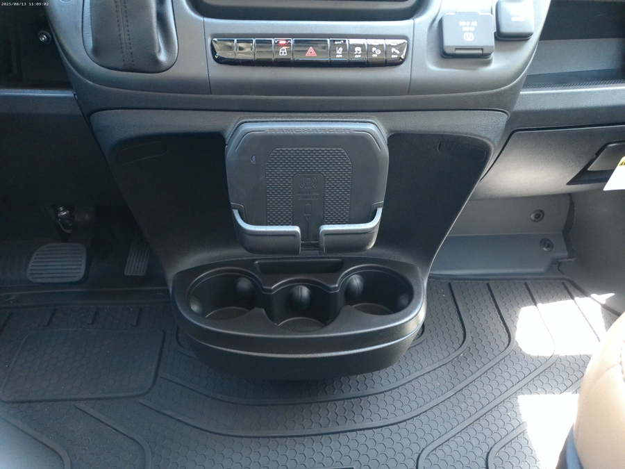 Grey Ram ProMaster image number 2