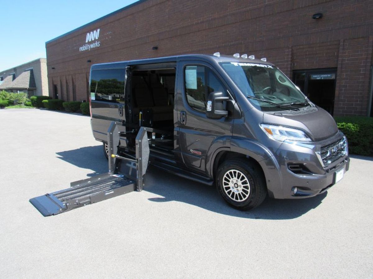 Grey Ram ProMaster image number 9