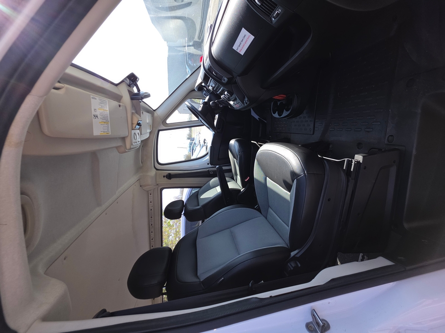 White Ram ProMaster image number 5