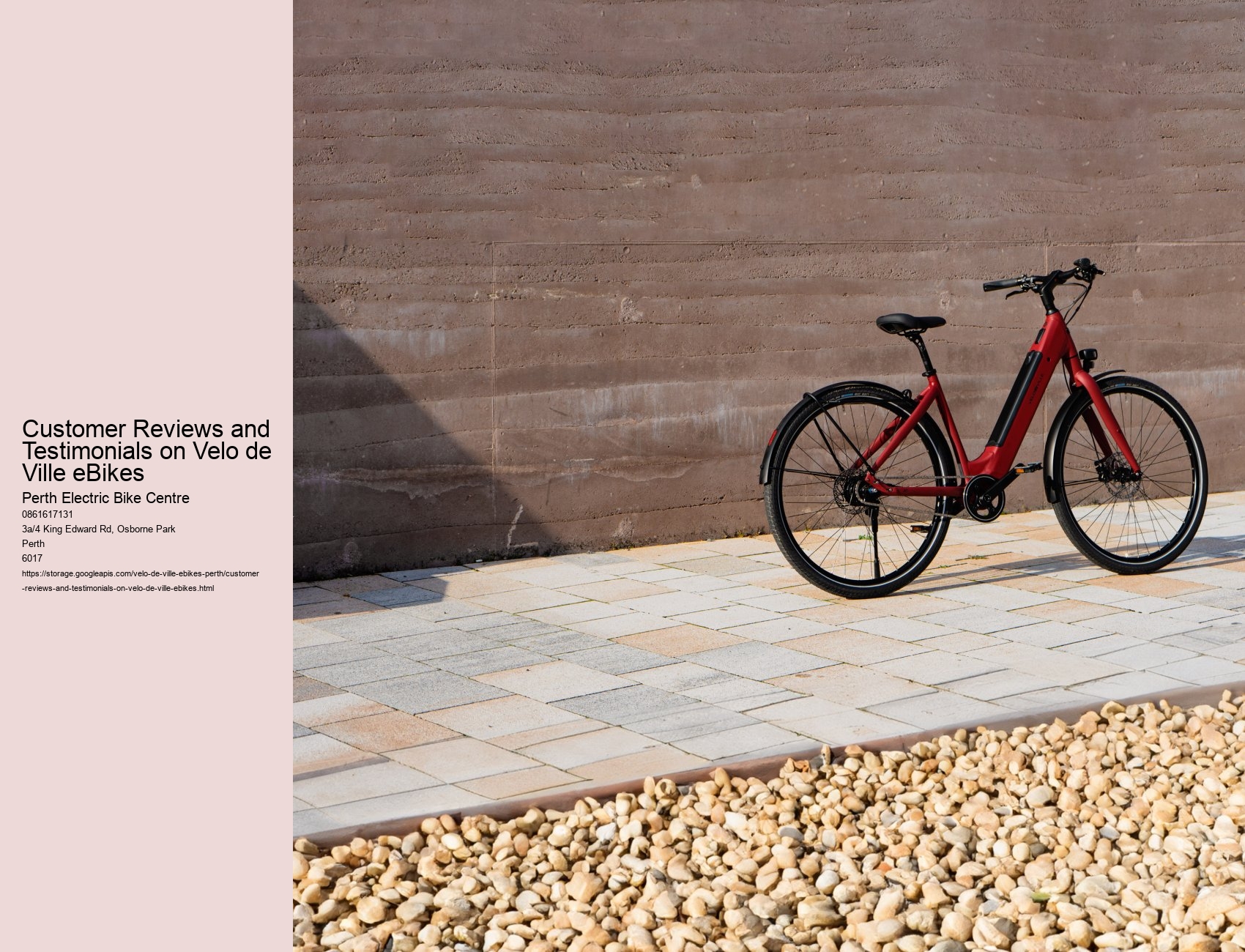 Customer Reviews and Testimonials on Velo de Ville eBikes