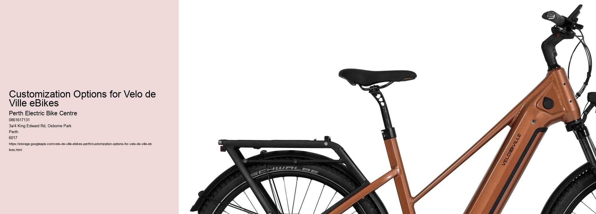 Customization Options for Velo de Ville eBikes