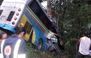 Segundo informações da PRF, motorista teria perdido o controle da direção e bateu em uma árvore após sair da pista.
