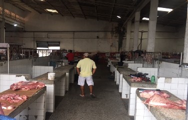 650 quilos de carnes e vísceras de bovinos, suínos e caprinos em condição irregular durante operação do MP-BA