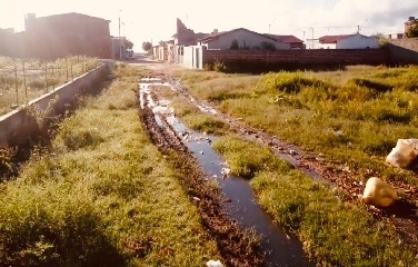 Imagens mostram mato e esgoto tomando conta da rua que está praticamente intransitável.