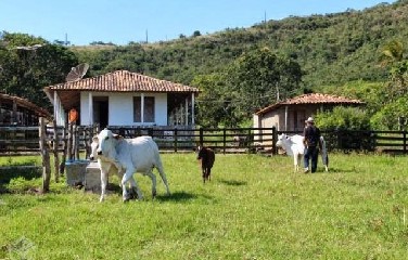 Titulares de terras têm até 30 de setembro para enviar dados