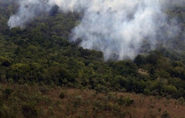 Em resposta ao ofício enviado pelo órgão, o Ibama afirmou que as ações de fiscalização estavam prejudicadas devido a ameaças do grupo responsável pela queimada