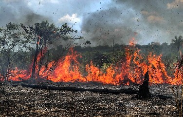Imagem registrada na terça-feira, dia 27, mostra queimadas na terras do produtor rural José Silva de Souza, em Santo Antônio do Matupi, no sul do Amazonas. 
