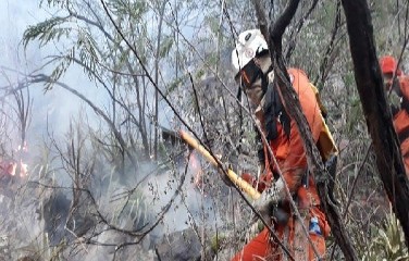 Bombeiros atuam no combate às chamas, que assolam a área desde sábado