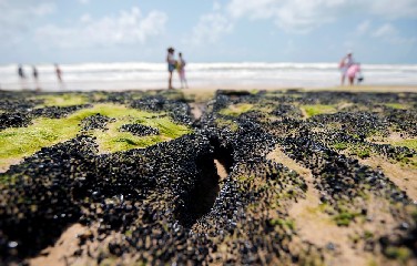Manchas de óleo na praia Sítio do Conde, na Bahia