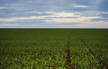 No mesmo período de 2018, foram 374 produtos liberados