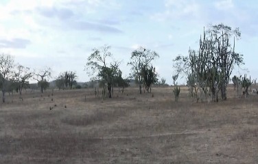 A redução de áreas com o fenômeno aconteceu somente na Bahia e no Espírito Santo.
