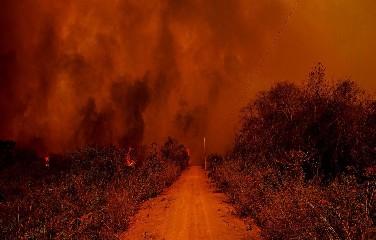 O Ministério Público Federal (MPF) analisará a questão, e pode ou não denunciar os investigados à Justiça Federal