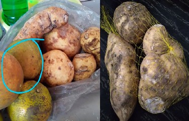 As maiores reclamações são do estado das batatas e laranjas que, segundo as mães, estariam estragadas.