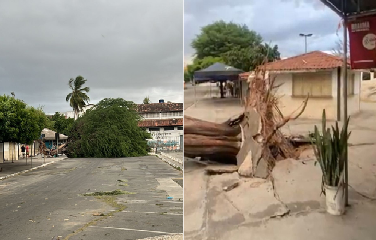 Estrutura caiu na Praça Edilberto Lopes (Praça da Jazida) neste domingo (8); carro foi parcialmente danificado, mas não há feridos.