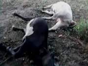 A região sudoeste da Bahia está sofrendo com chuvas fortes esta semana.