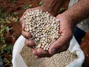 Quem não se inscrever poderá ser impedido, por exemplo, de tomar crédito rural em agências bancárias, conforme a Lei.