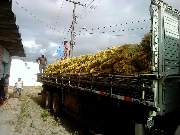 Ato de entrega foi realizado na manhã desta segunda-feira (05)