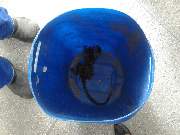 Esse é o primeiro macaco que morre em Salvador em 2018 com suspeita de raiva ou febre amarela