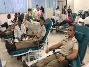 Serão mais de 600 doadores voluntários
