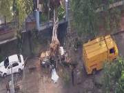 PM pegou atalho para fugir de congestionamento na Avenida Brasil e acabou morrendo ao ter carro atingido por árvore de grande porte na Zona Norte do Rio